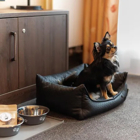 Familienapartment Nahe Der Frauenkirche 公寓 德累斯顿